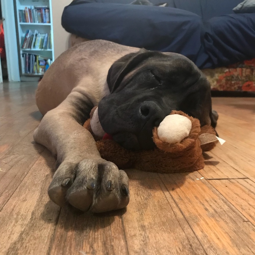 Meet your Posher, Tim